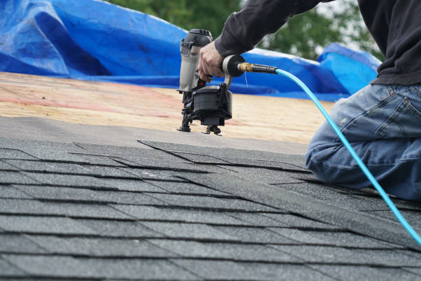 Best Roof Gutter Cleaning  in Independent Hill, VA